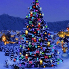 Евгений Соболев, 15.04, Архангельск