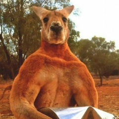 Митя Попов, 30.10.1987, Москва