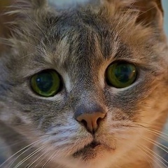 Екатерина Сыровая, 20.04