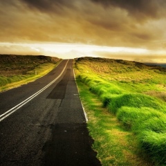 Алексей Григорьевич, 18.03, Санкт-Петербург