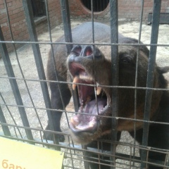 Алексей Медведев, 30.04.1990, Пенза