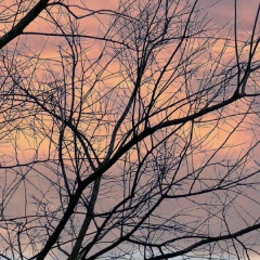 Уна Оксли, 18.06.1983