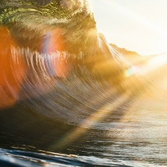 Анна Сергеевна, Омск