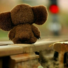 Павел Звонков, 13.08.1981, Новороссийск