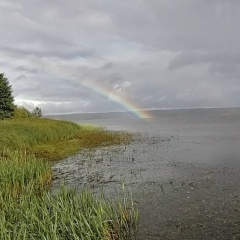 Александр А, Кашира