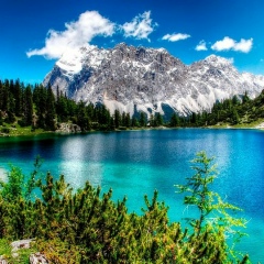 Chepito Reyes, 19.02.1987