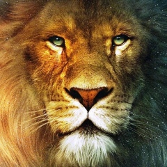 Ахмед Юсупов, 23.08.1990, Грозный