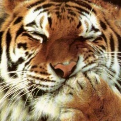 Дмитрий Шадрухин, 29.04, Санкт-Петербург