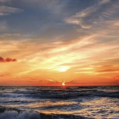 Ибн Хаким, 08.02.1985