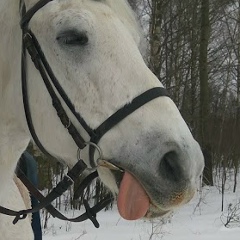 Александр Грызлов, 12.06.1985, Ярославль