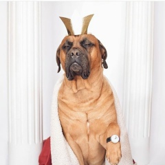 Мария Шамашева, 27.04.1991