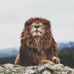 Ислам Каримов, 11.09.1997, Шымкент