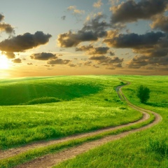 Альбина Харитонова, 31.10.1994, Белгород