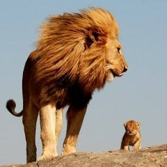 Сергей Емельянов, 10.11, Москва