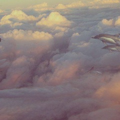 Александр Головков, 21.09.1988, Киев