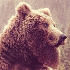 Александр Медведев, 01.08.1915