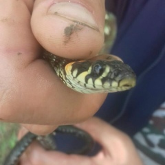 Саша Суетнов, 25.01.2003