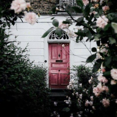 Romeo Sheikh, 22.07.1993