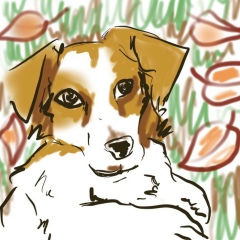 Оля Сластухина, Калининград