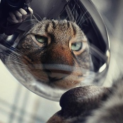 Ваня Потучек, 08.07