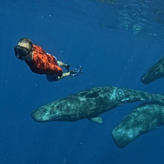 Алексей Нетреба, 15.12.1981, Москва