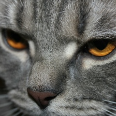 Ирина Васенина, 07.05.1981, Сосногорск