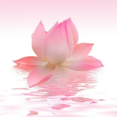 Марфа Васильева