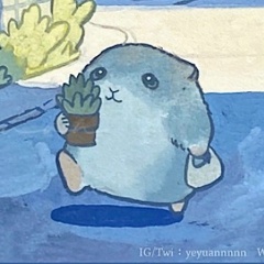 Николя Гудвин, 24.12