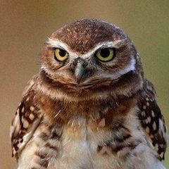 Данис Зарипов, 13.03, Набережные Челны