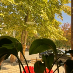 Cosmetologist Esthetician, 01.06.1981, Грозный