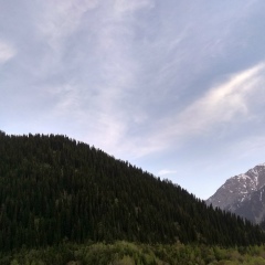 Алишер Жамыганов, 05.05