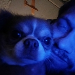 Александр Ревенко, 01.07.1988, Москва