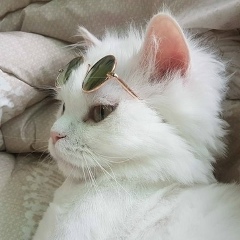 Алиса Спатимус, 01.01