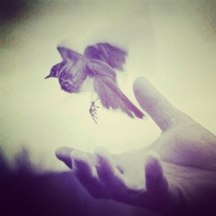 Assylan Aubakirov, 13.02.1996, Актобе