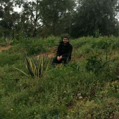 Raouf Felhi, 20.09, Tunis