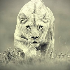 Эля Н, 23.08.1982