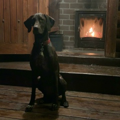 Илья Чванов, 12.11, Тамбов