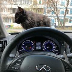 Игорь Муравьев, 09.06, Москва