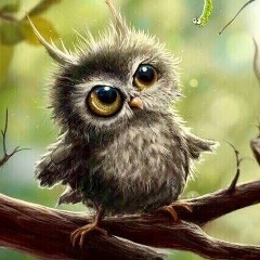 Светлана Шуменко, 08.04, Москва