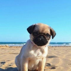 Мадина Имангазина, 05.08.1980