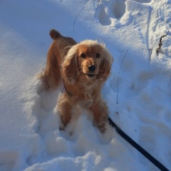 Мария Маркушкина, 18.10, Санкт-Петербург