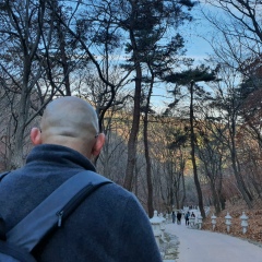 Алексей Боган, Daegu