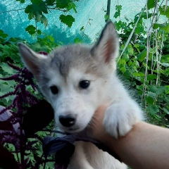 Катюха Иноземцева, 19.01, Москва