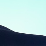 Ванек Николаевич, 01.03