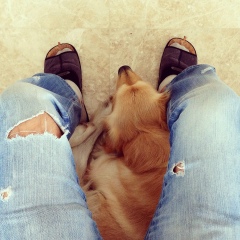 Юрий Собрат, 31.03, Киев