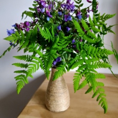 Eleonora Skorohodova, 20.12