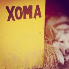 Karim Attaev, 11.05.1901