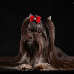 Юлия Куранова, 11.01, Санкт-Петербург