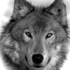 Алихан Индербиев, 29.11.2002, Грозный