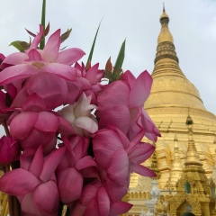 Yin Myomyo-Aye, 17.06.1986